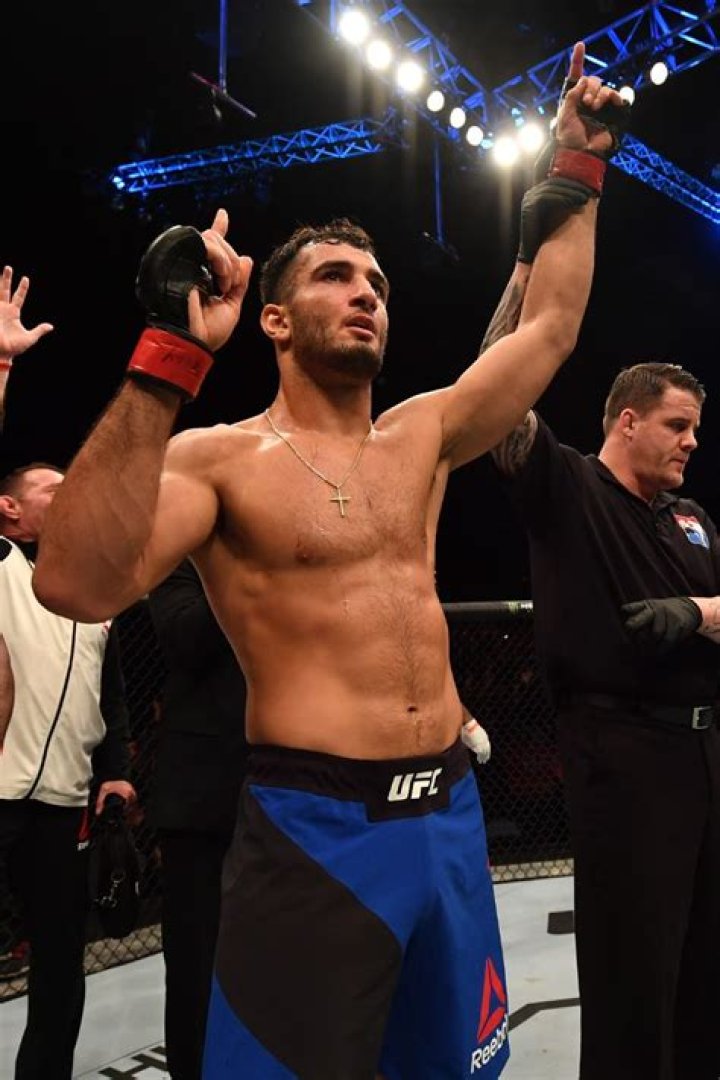 Gegard Mousasi Height, Weight, Net Worth, Age, Birthday, Wikipedia, Who, Nationality, Biography